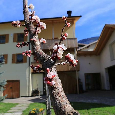 Apartamento Ferienhof Weingenuss Cortina Sulla Strada del Vino Exterior foto